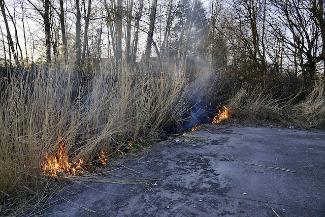 2022/82/20220310-17u41 GB 002 Buitenbrand Rijstvogelstraat.jpg